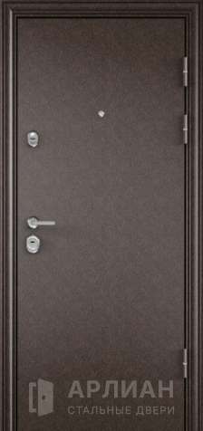 Фото «Порошковая входная уличная дверь №2»